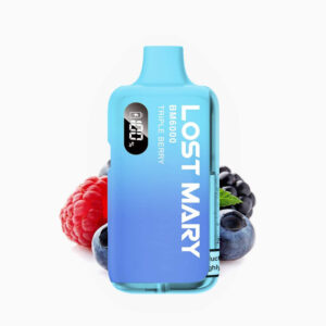 Lost Mary BM6k Puffs Mint Menthol Disposable | Vape Store noida